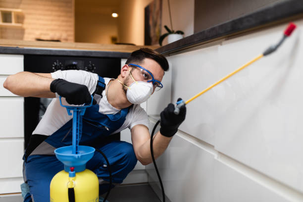 Best Best Pest Control Companies  in Chelsea, MI