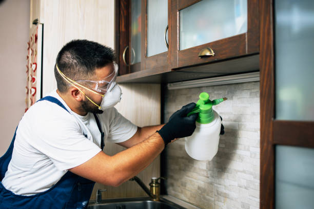 Best Flea Control Services  in Chelsea, MI