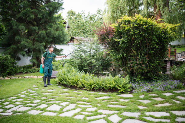 Best Commercial Pest Control Services  in Chelsea, MI