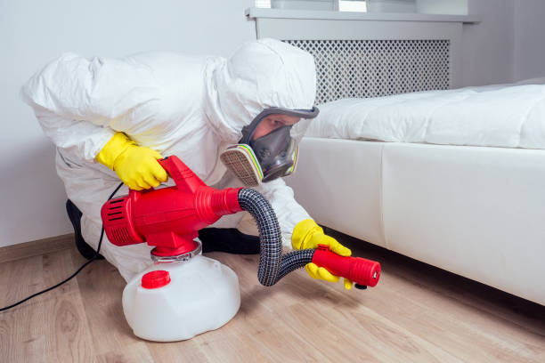 Wasp Removal Services in Chelsea, MI