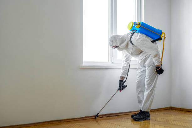 Best Exterminator Services  in Chelsea, MI