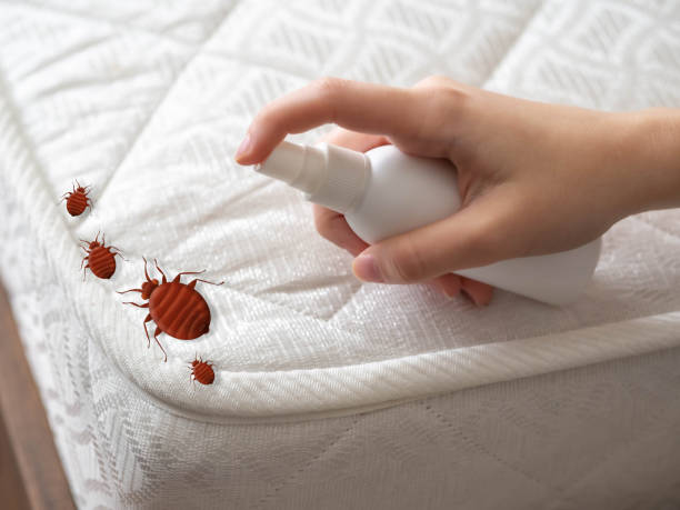 Best Wildlife Control Services  in Chelsea, MI