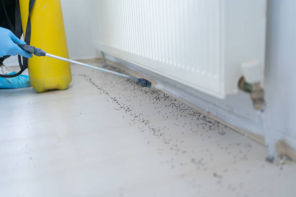 Best Pest Inspection Near Me  in Chelsea, MI