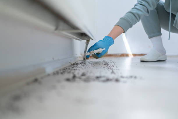 Best Insect Control  in Chelsea, MI