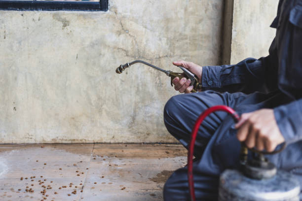 Best Local Pest Control Services  in Chelsea, MI